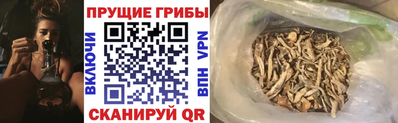 Псилоцибиновые грибы ЛСД  наркота  кракен зеркало  Миньяр 
